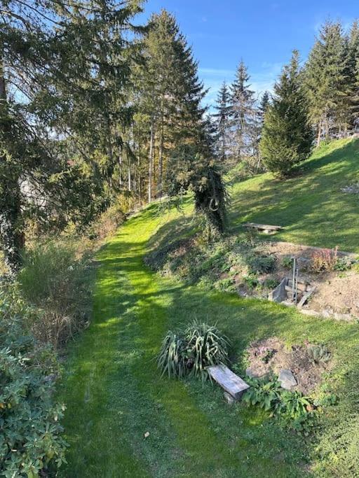 Appartamento Exclusiv Im Erzgebirge Amtsberg Esterno foto